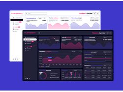 Дашборды по анализу финансового здоровья компании Flowsight
