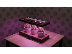 создание 3д модели