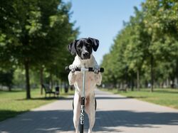 Создам картинку, логотип, баннер