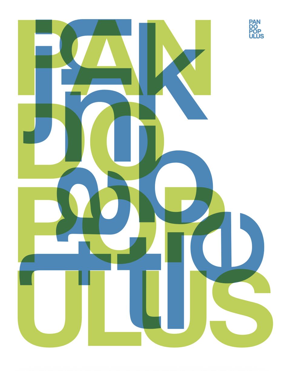 Снимок экрана 2025-12-10 в 16.31.51.png