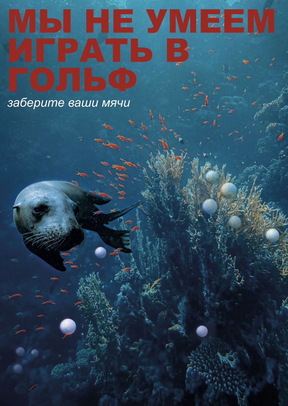 Снимок экрана 2025-12-10 в 16.33.22.png