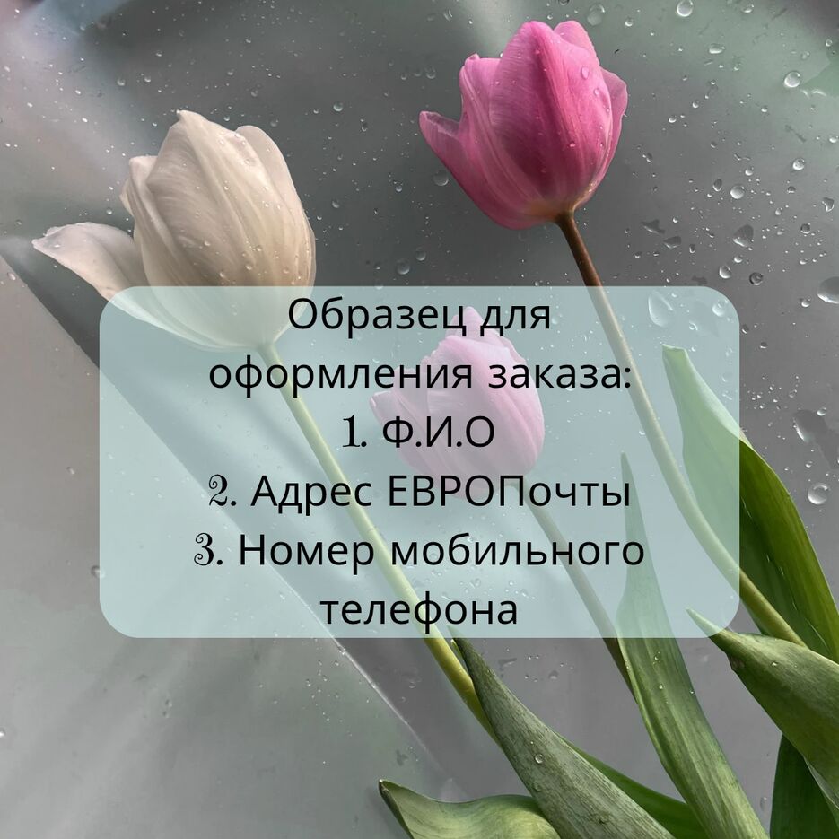 Мотивирющая публикация instagram, фото тюльпанов, уведомление с красивой фр_20250630_003413_0000.png