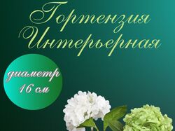 Инфографика для маркетплейсов