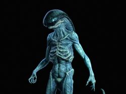Neomorph