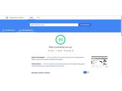 Оптимизация Google PageSpeed Insight