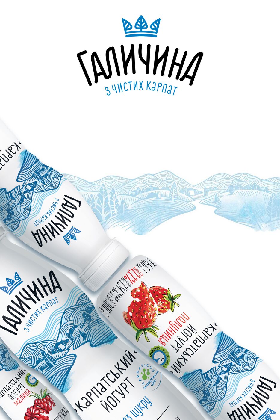 Гречишкін Никита ДХМг-23 Сітілайт 1,8х1,2 м.png