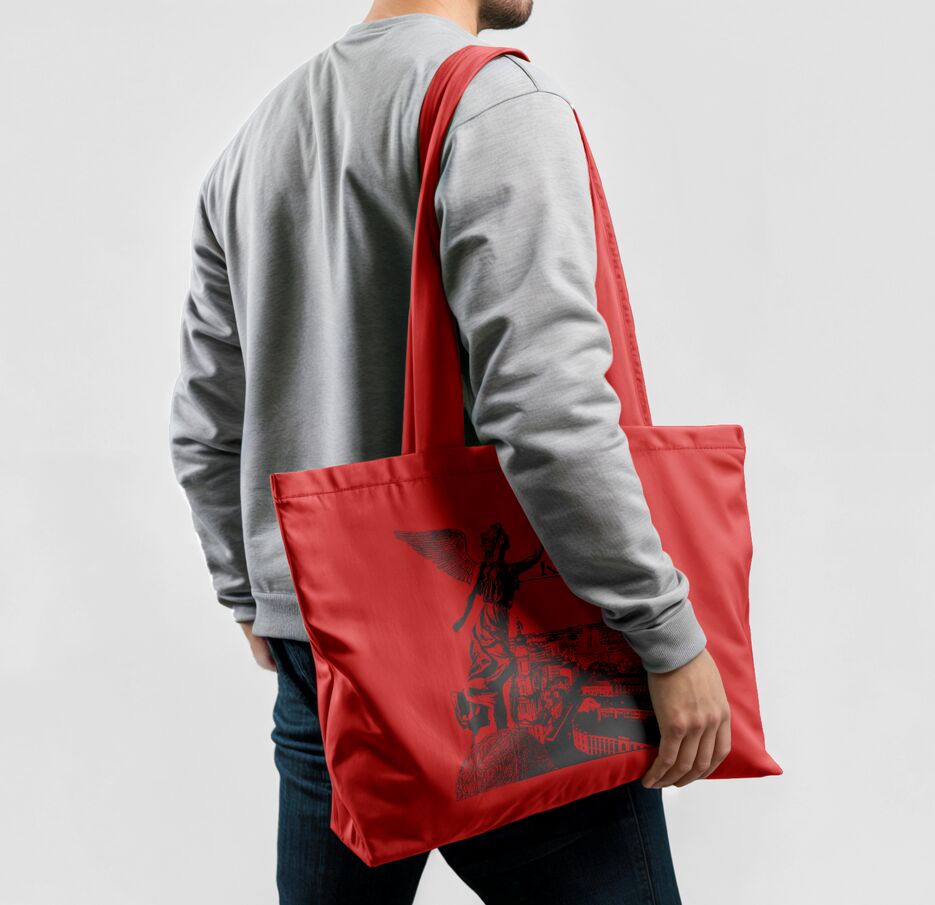 Гречишкін Никита ДХМг-23 Шоппер 3.png