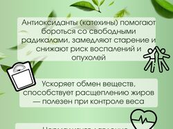 Инфографика