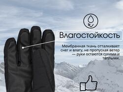 Инфографика