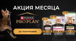 proplan_264x142.jpg