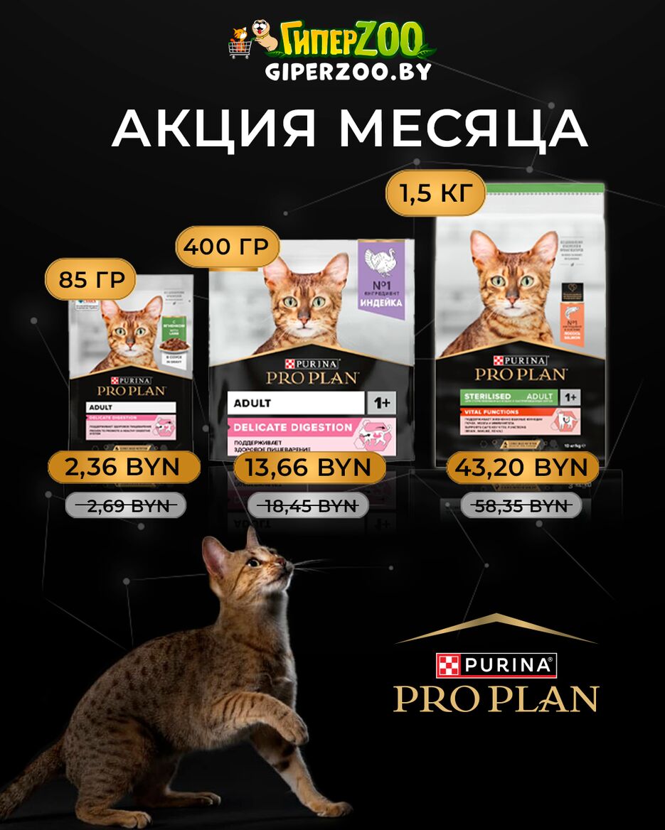proplan_post.png
