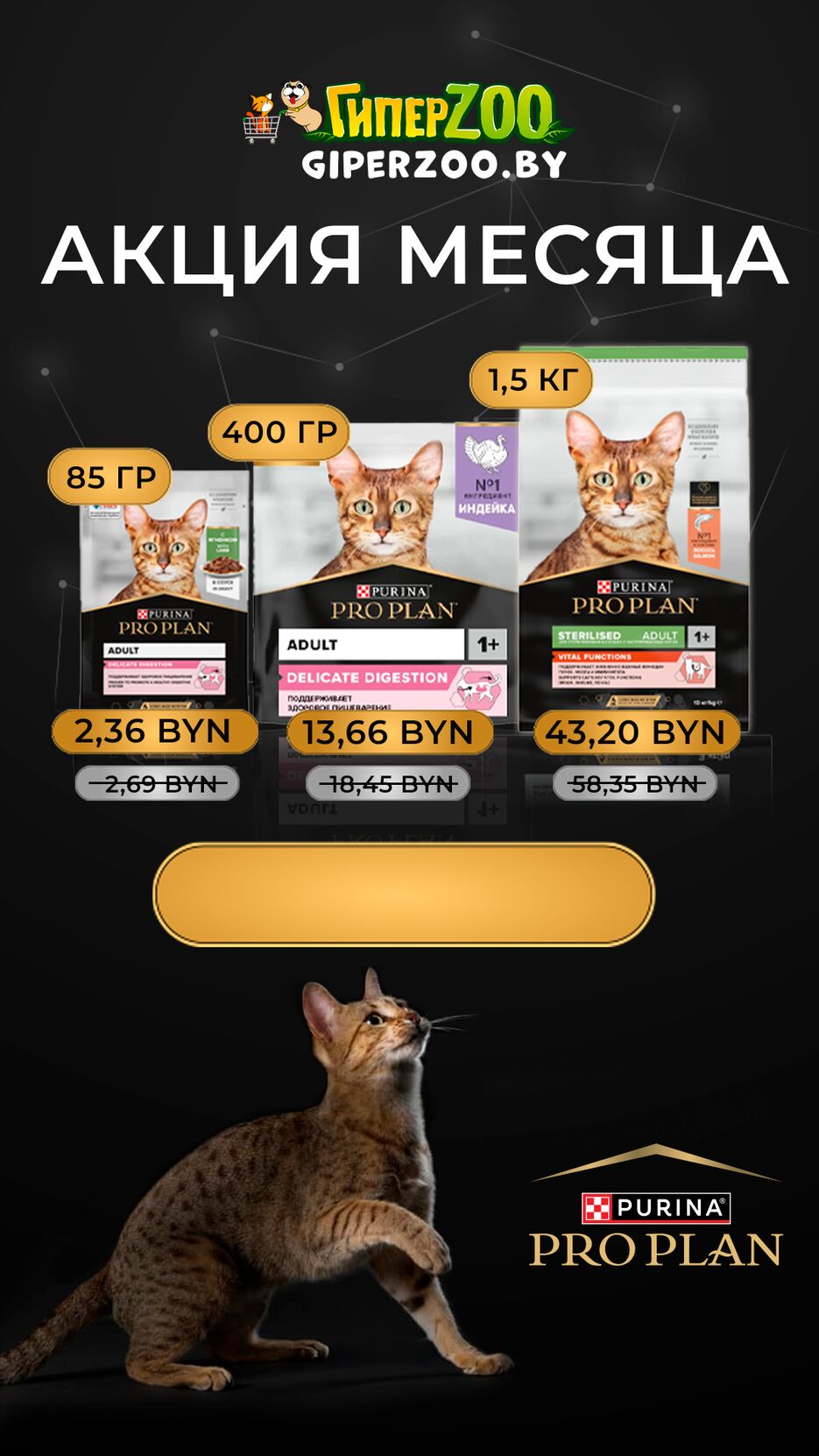 proplan_stor.png