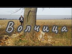 Озвучивание 