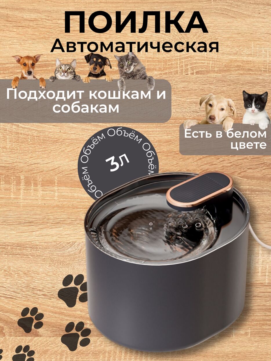 Добавить основной текст - 1_20260122_122005_0000.png