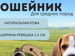 ошейник для собаки