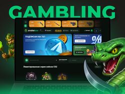 SNAKEBOX - CS2 / Dota 2 / RUST opencase project