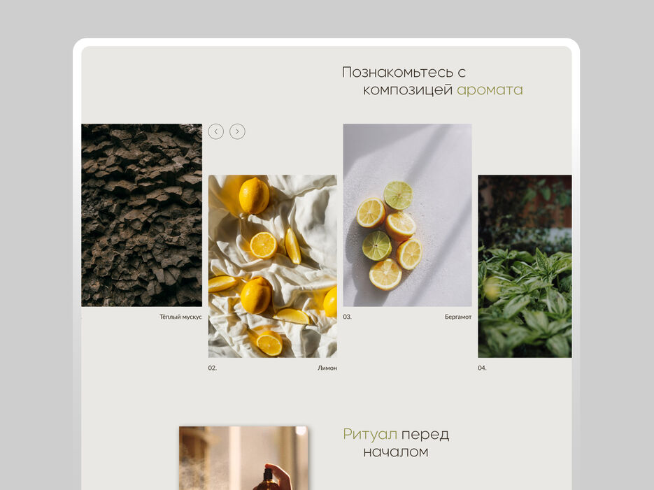 Dribbble shot - 9.jpg