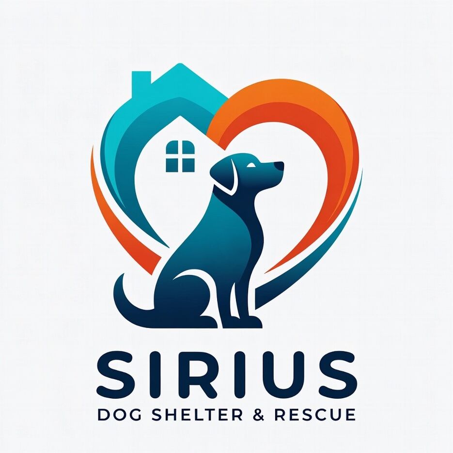 f2e3420b-c9a2-4ab2-8956-77a7d91b9354 (1).jpg