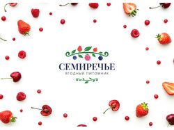 Логотип и фирменный стиль