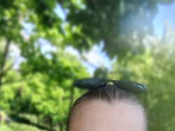 Переклад текстів