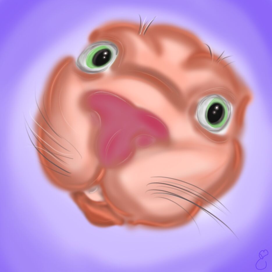 Без названия 16_202601270800_40732.jpg