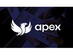 Apex Logo Design