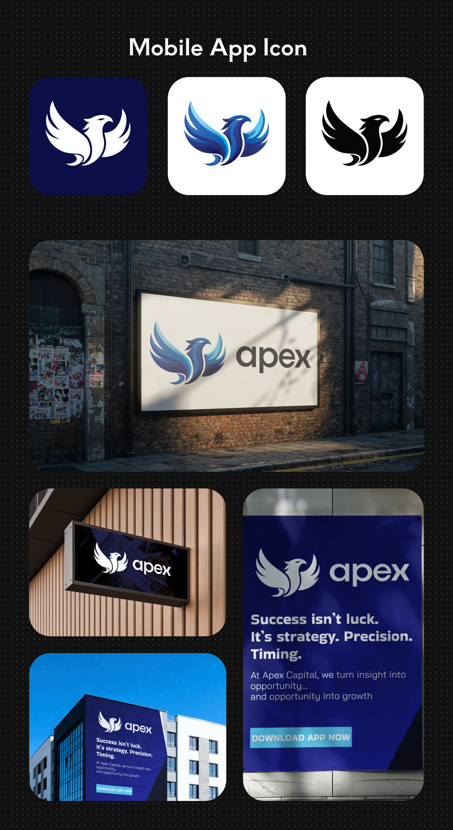 file cover - 48.jpg