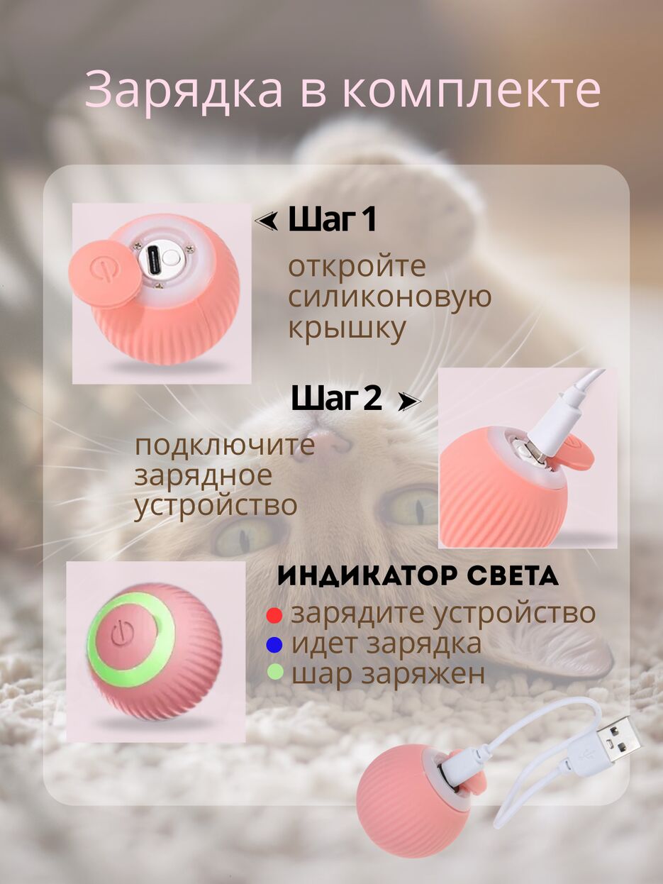 3_20260225_152743_0002.png