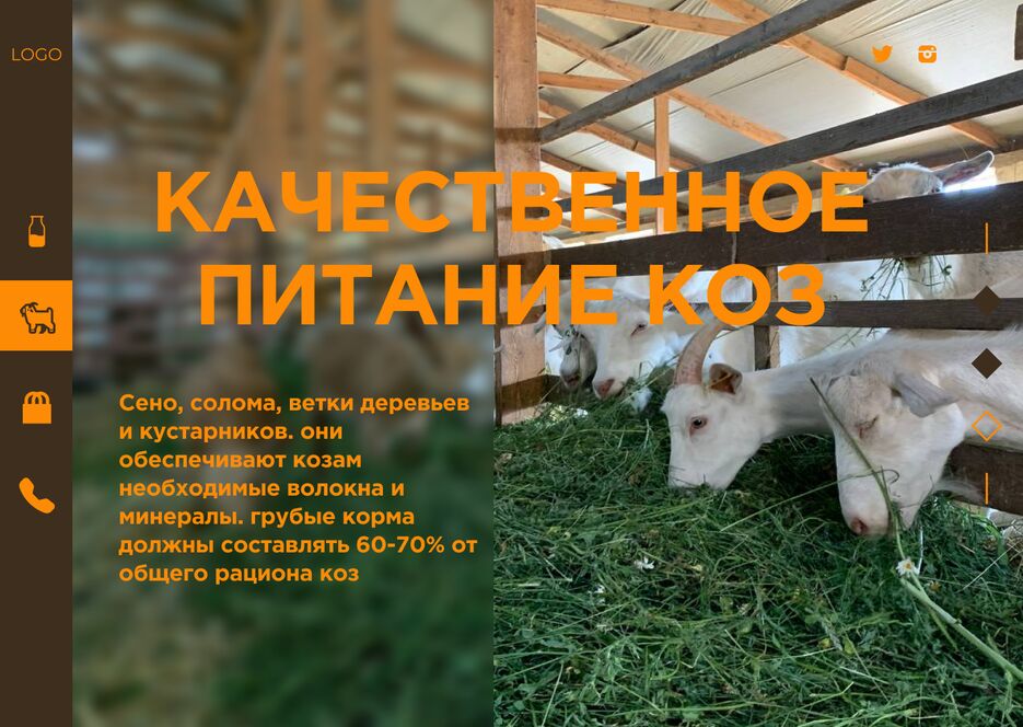 О нас№3.png