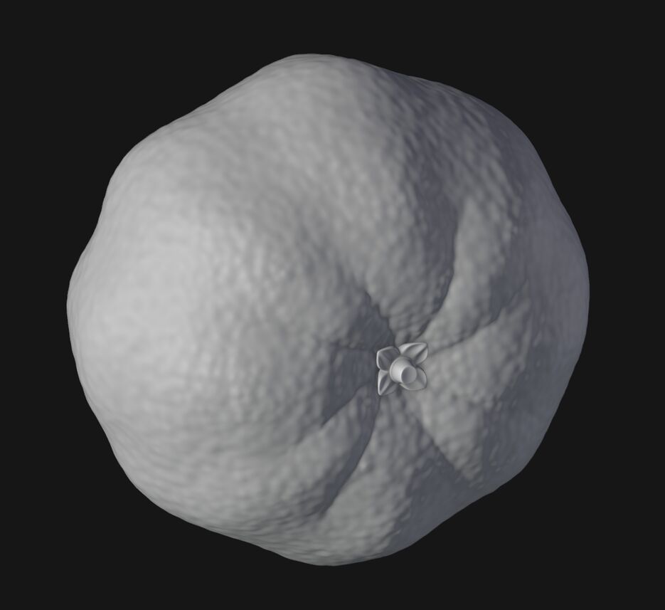 Screenshot 2025-11-08 102855.png