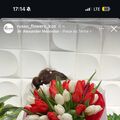 aktolkin_12