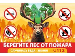 баннер