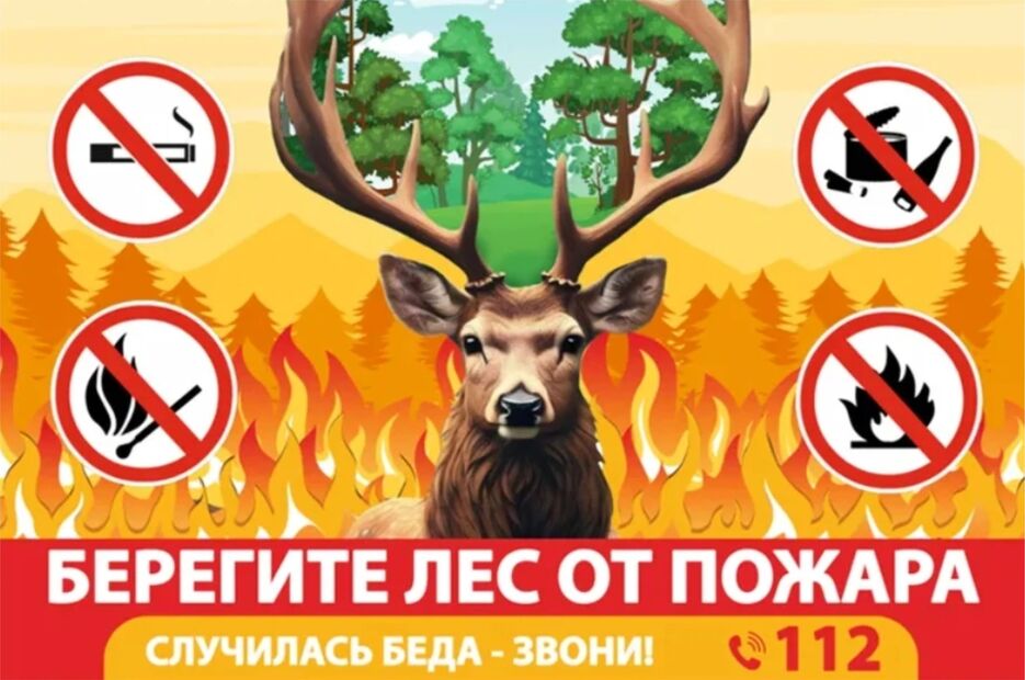 баннер ,,.jpg