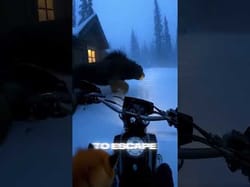He Saved a Little Fox