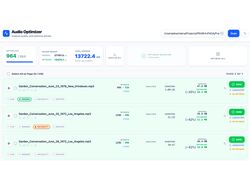 Audio Optimiser (Denoise)