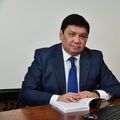 87015339617Alik