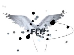 Fly