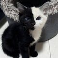 Fedor_001201
