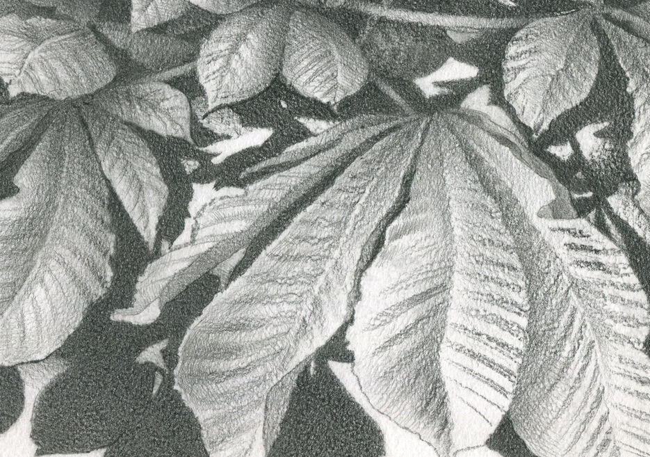 img423detail1.jpg