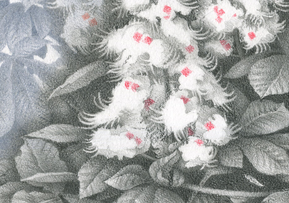 img423detail2.jpg