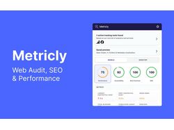 Metricly - Web Audit, SEO & Performance