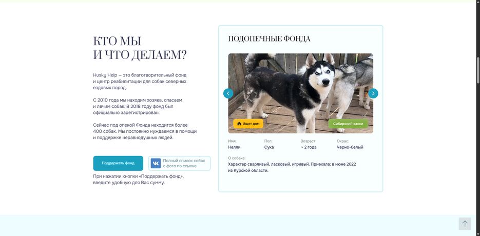 ScreenShot Tool -20260419030256.png