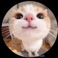 Anna928