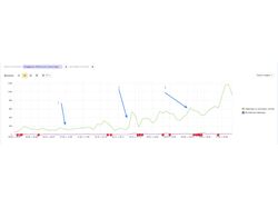 Кейс по SEO-продвижению: грузоперевозки из Китая