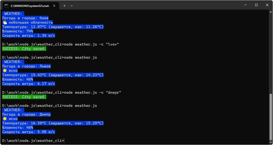 portfolio-5-Node-weather-CLI.jpg
