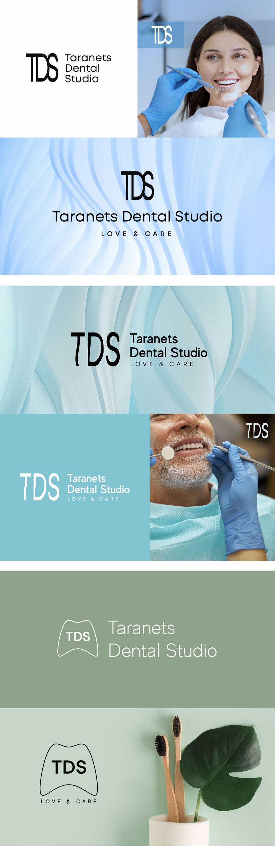 tds-logo-pres.png