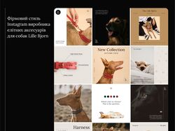 Insta Designs -LilleBjorn