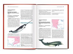 Красная книга архангельской области
