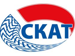 Логотип "Шиномонтаж "Скат"