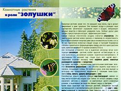 Статья о растениях (центр, изгиб).